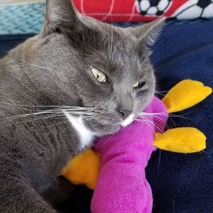 Meet your Posher, Vivian